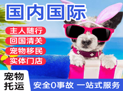 海北祁连空运地址国际宠物托运 【国